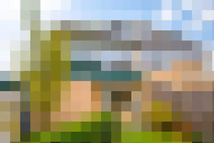 Vogelenzangstraat 10 Eibergen thumbnail 39