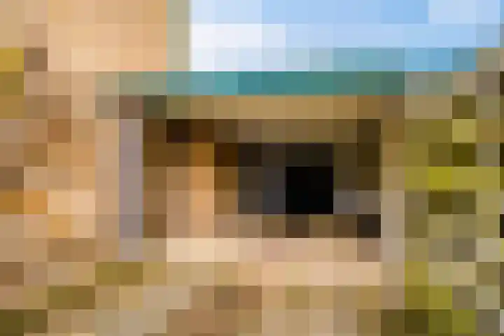 Vogelenzangstraat 10 Eibergen thumbnail 4