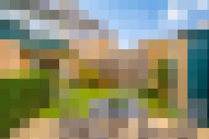 Vogelenzangstraat 10 Eibergen thumbnail 43