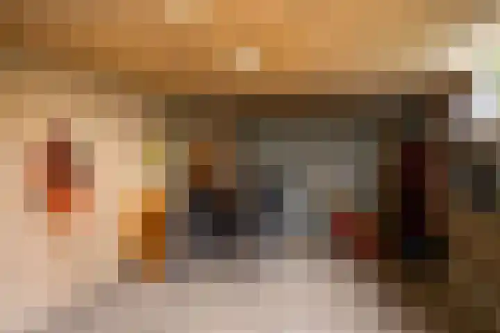 Vogelenzangstraat 10 Eibergen thumbnail 47