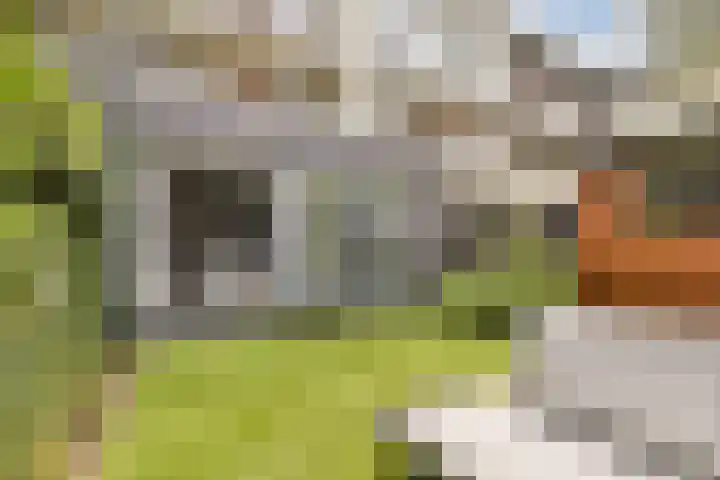 Vogelenzangstraat 22 2 Amsterdam thumbnail 14