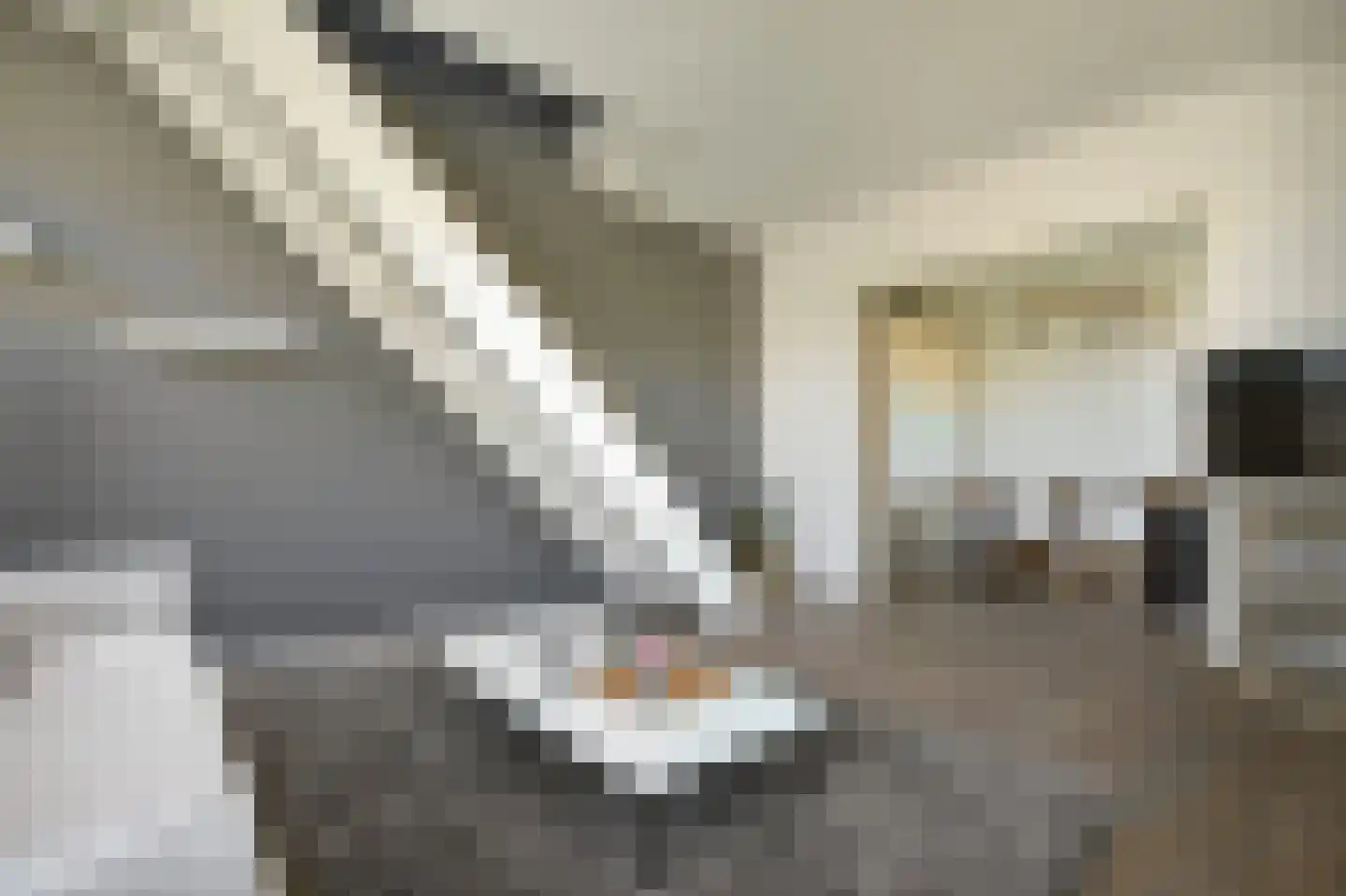 Vogelenzangstraat 23 1 Amsterdam thumbnail 4