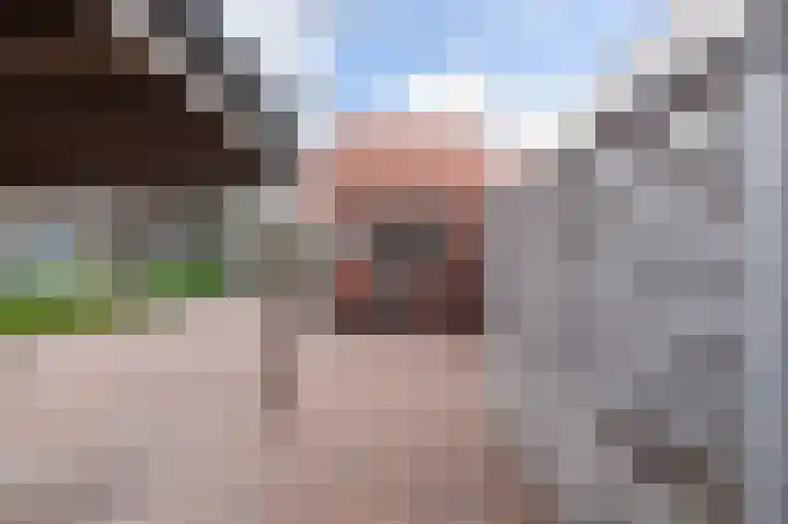 Vogelenzangstraat 37 Eibergen thumbnail 34