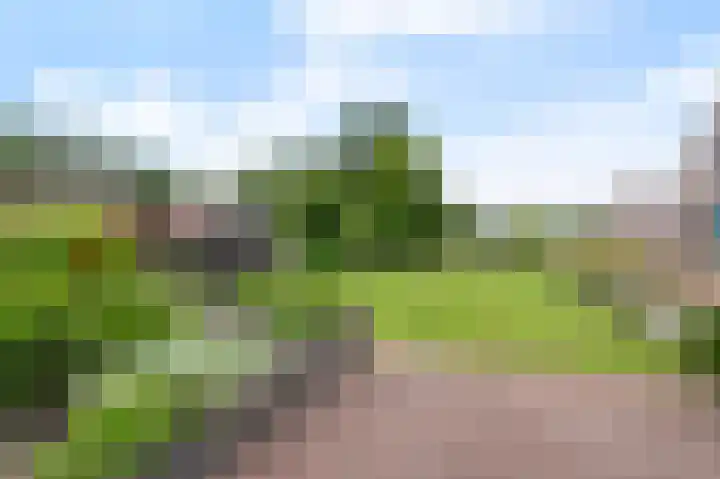 Vogelenzangstraat 37 Eibergen thumbnail 4