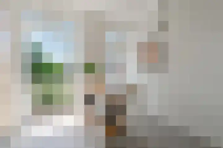 Vogelenzangstraat 51 3 Amsterdam thumbnail 16