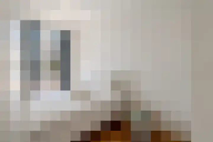 Vogelenzangstraat 51 3 Amsterdam thumbnail 21