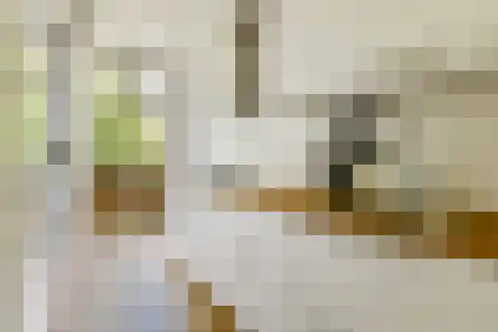 Vogelenzangstraat 56 1 Amsterdam thumbnail 8