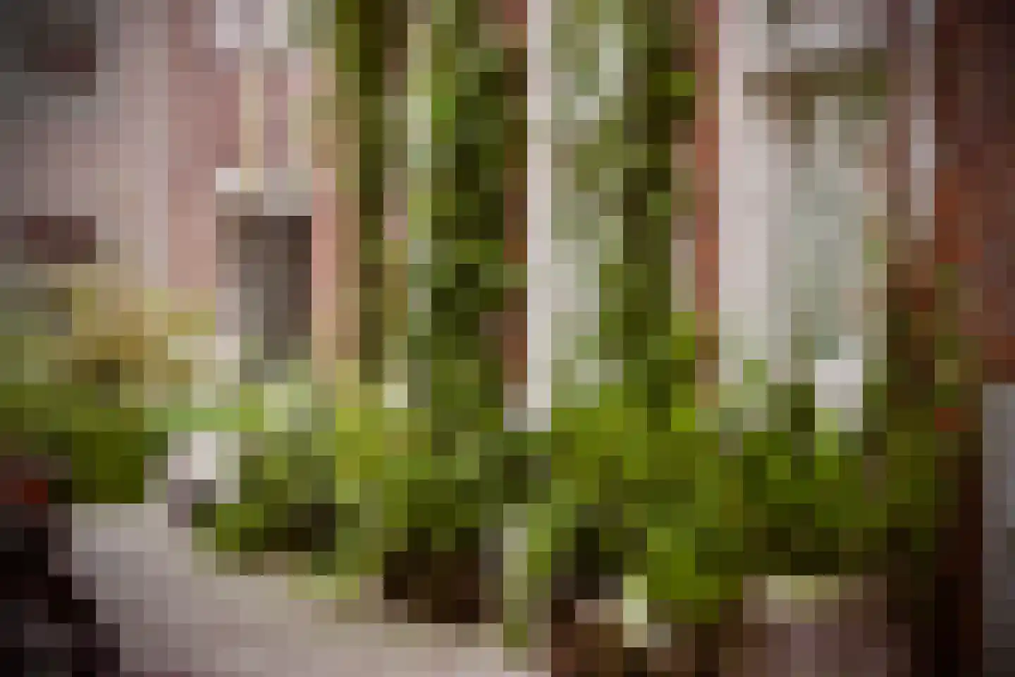 Vogelenzangstraat 9 H Amsterdam thumbnail 25