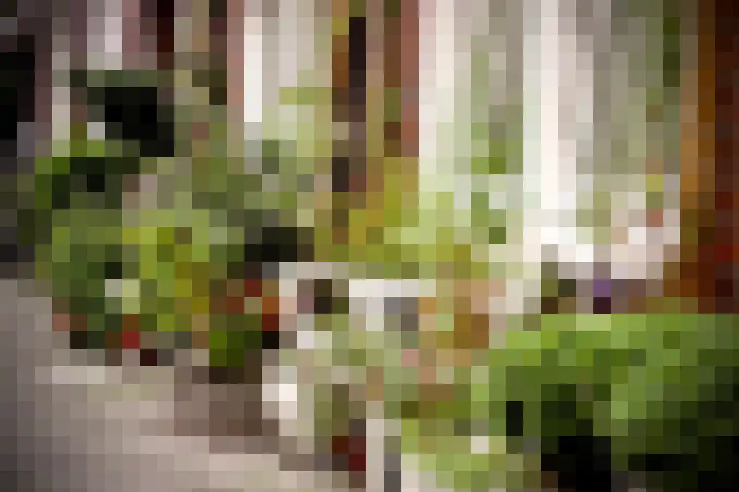 Vogelenzangstraat 9 H Amsterdam thumbnail 27