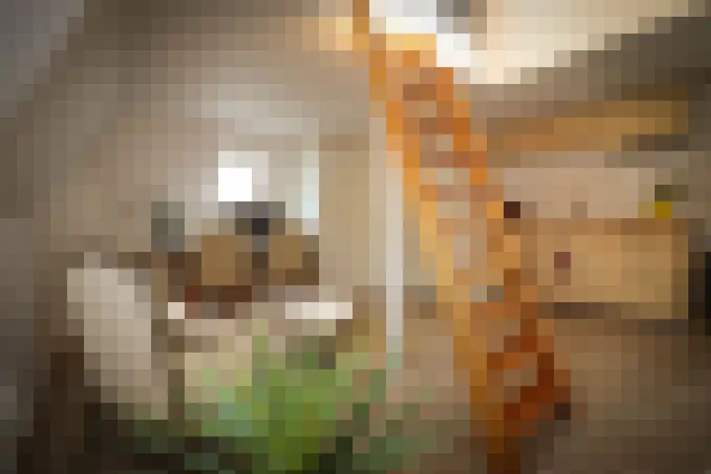 Vogelenzangstraat 9 H Amsterdam thumbnail 28