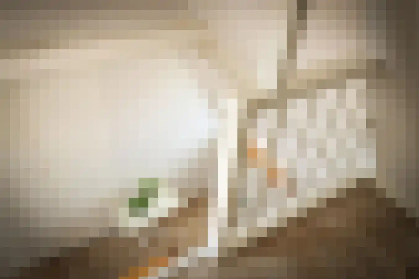 Vogelenzangstraat 9 H Amsterdam thumbnail 32