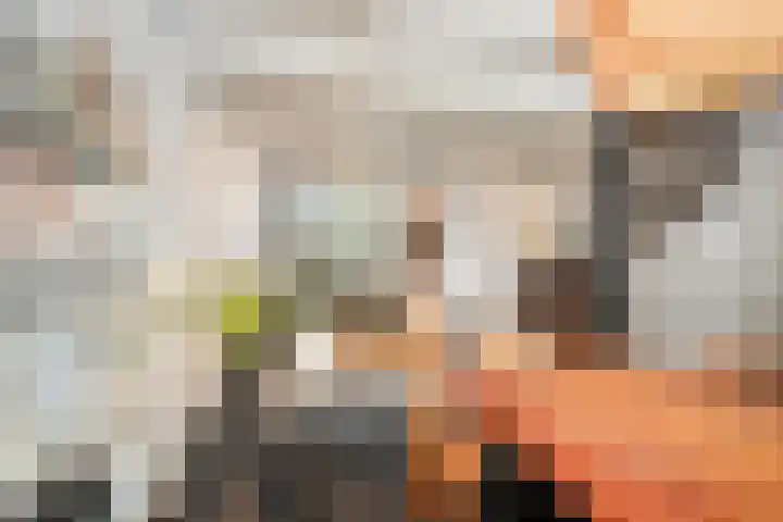 Vogelezang 25 Alkmaar thumbnail 10