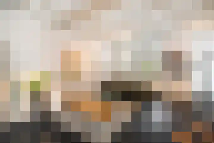 Vogelezang 25 Alkmaar thumbnail 11