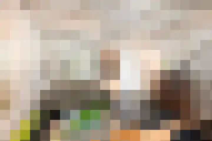 Vogelezang 25 Alkmaar thumbnail 12