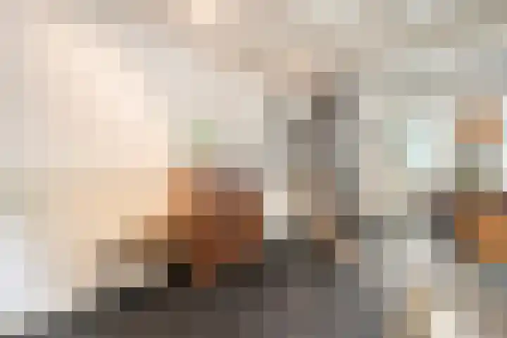 Vogelezang 25 Alkmaar thumbnail 14