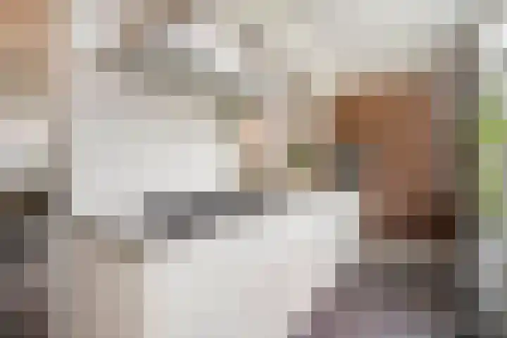 Vogelezang 25 Alkmaar thumbnail 15