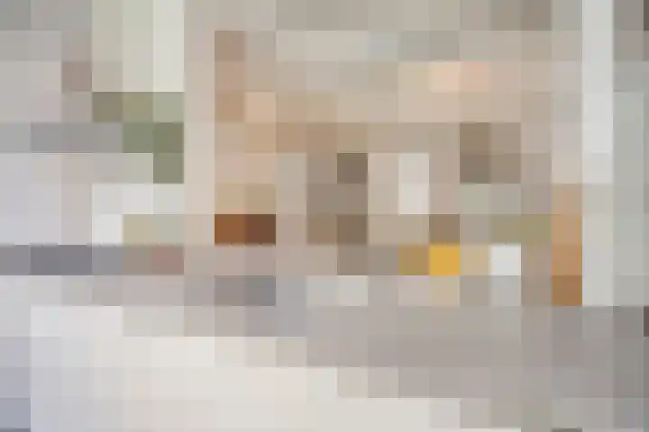 Vogelezang 25 Alkmaar thumbnail 16