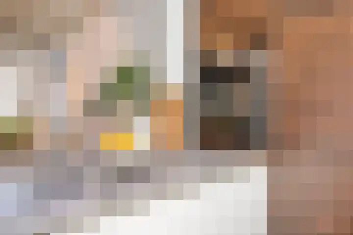 Vogelezang 25 Alkmaar thumbnail 17
