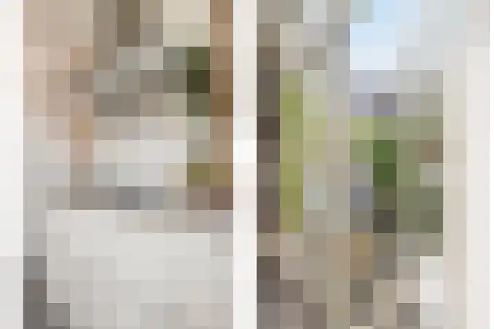 Vogelezang 25 Alkmaar thumbnail 18