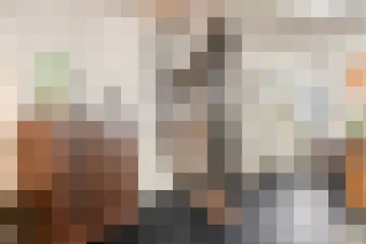 Vogelezang 25 Alkmaar thumbnail 19