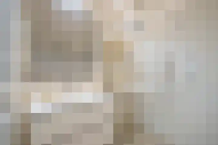 Vogelezang 25 Alkmaar thumbnail 22