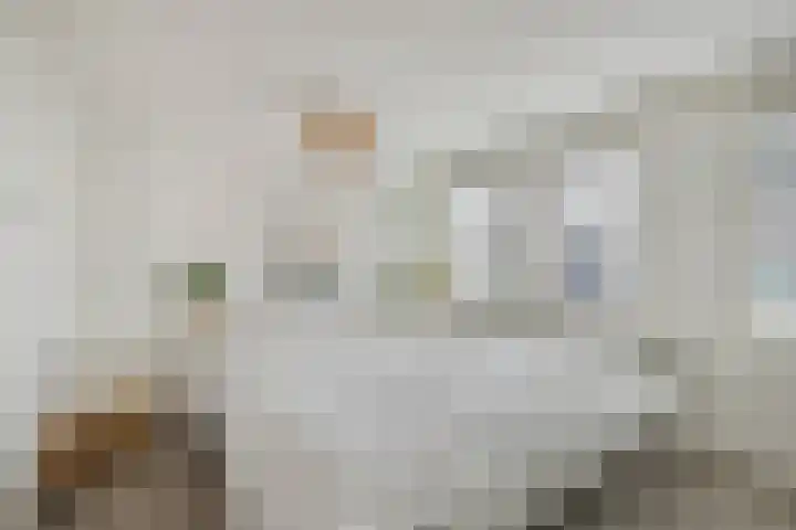 Vogelezang 25 Alkmaar thumbnail 24