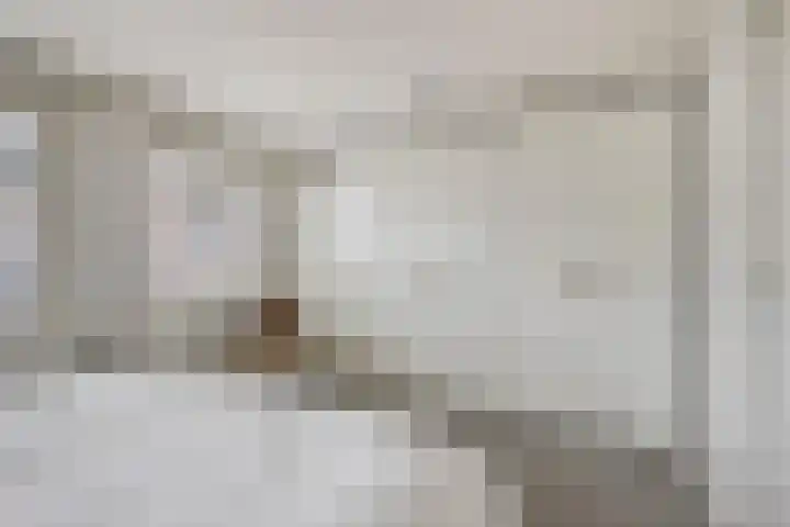 Vogelezang 25 Alkmaar thumbnail 25