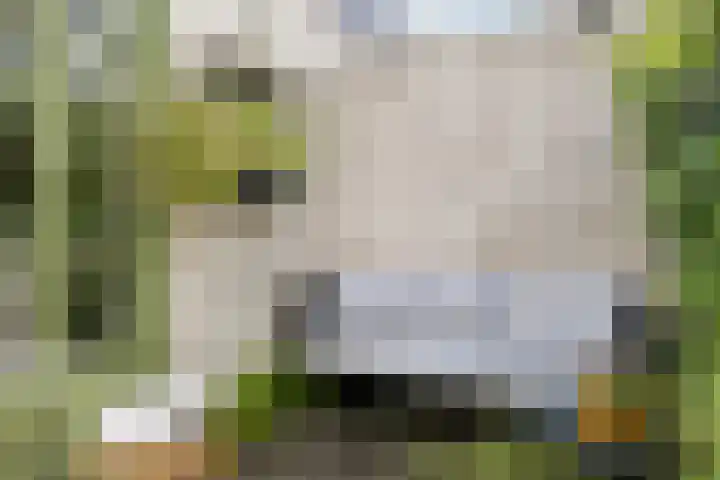 Vogelezang 25 Alkmaar thumbnail 30