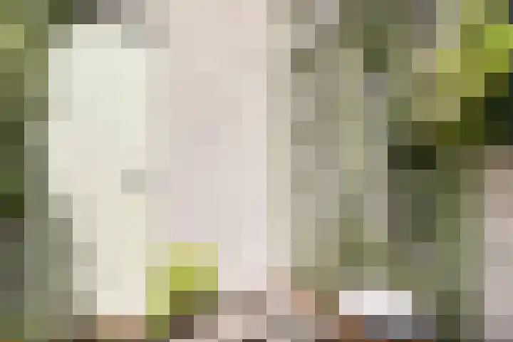 Vogelezang 25 Alkmaar thumbnail 31