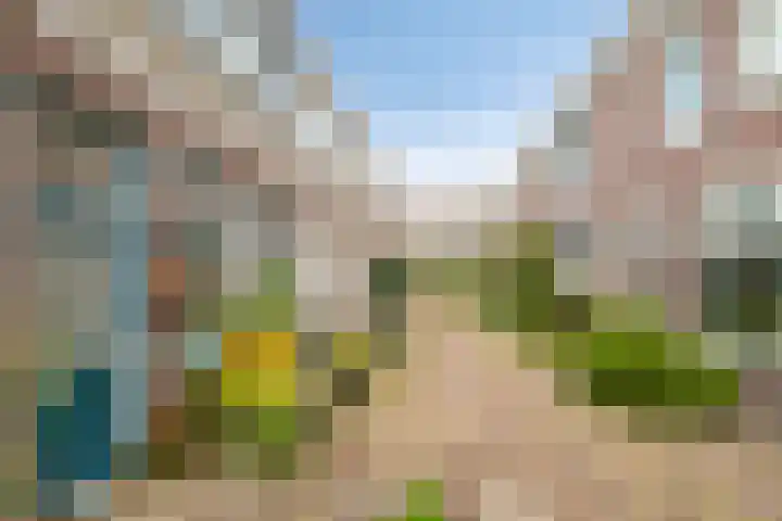 Vogelezang 25 Alkmaar thumbnail 32