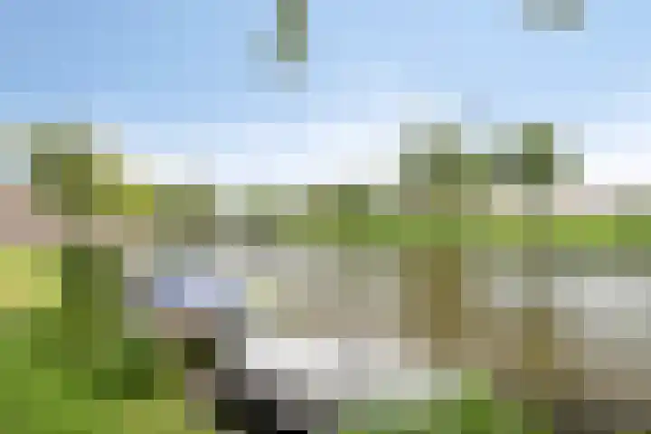 Vogelezang 25 Alkmaar thumbnail 33