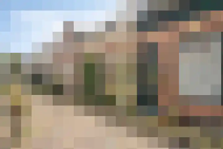 Vogelezang 25 Alkmaar thumbnail 4
