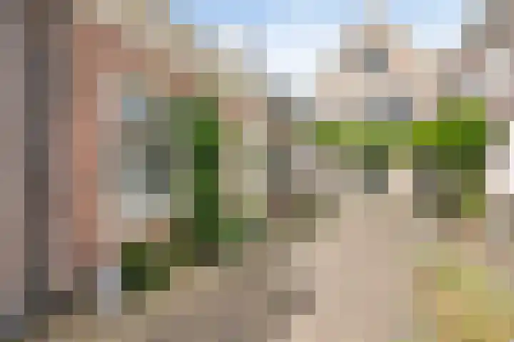 Vogelezang 25 Alkmaar thumbnail 5
