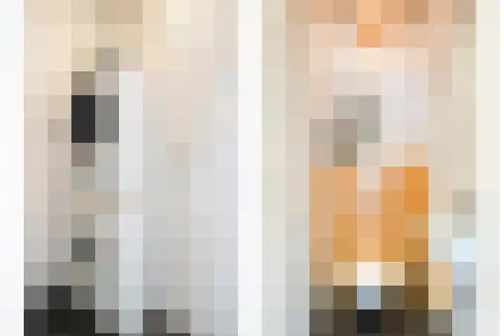 Vogelezang 25 Alkmaar thumbnail 8