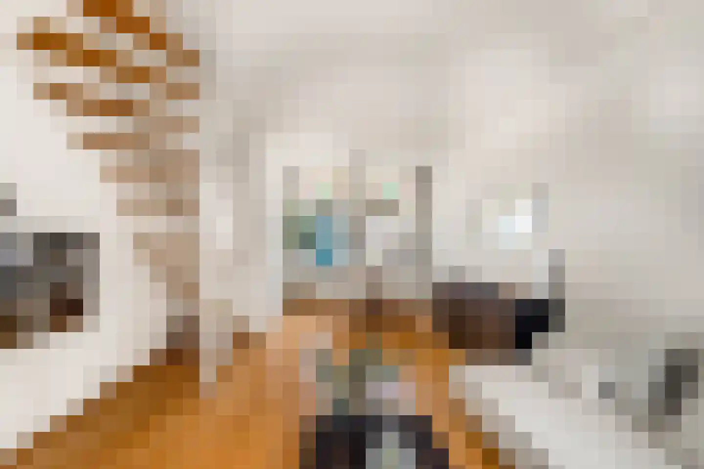Vogelezang 9 Alkmaar thumbnail 10
