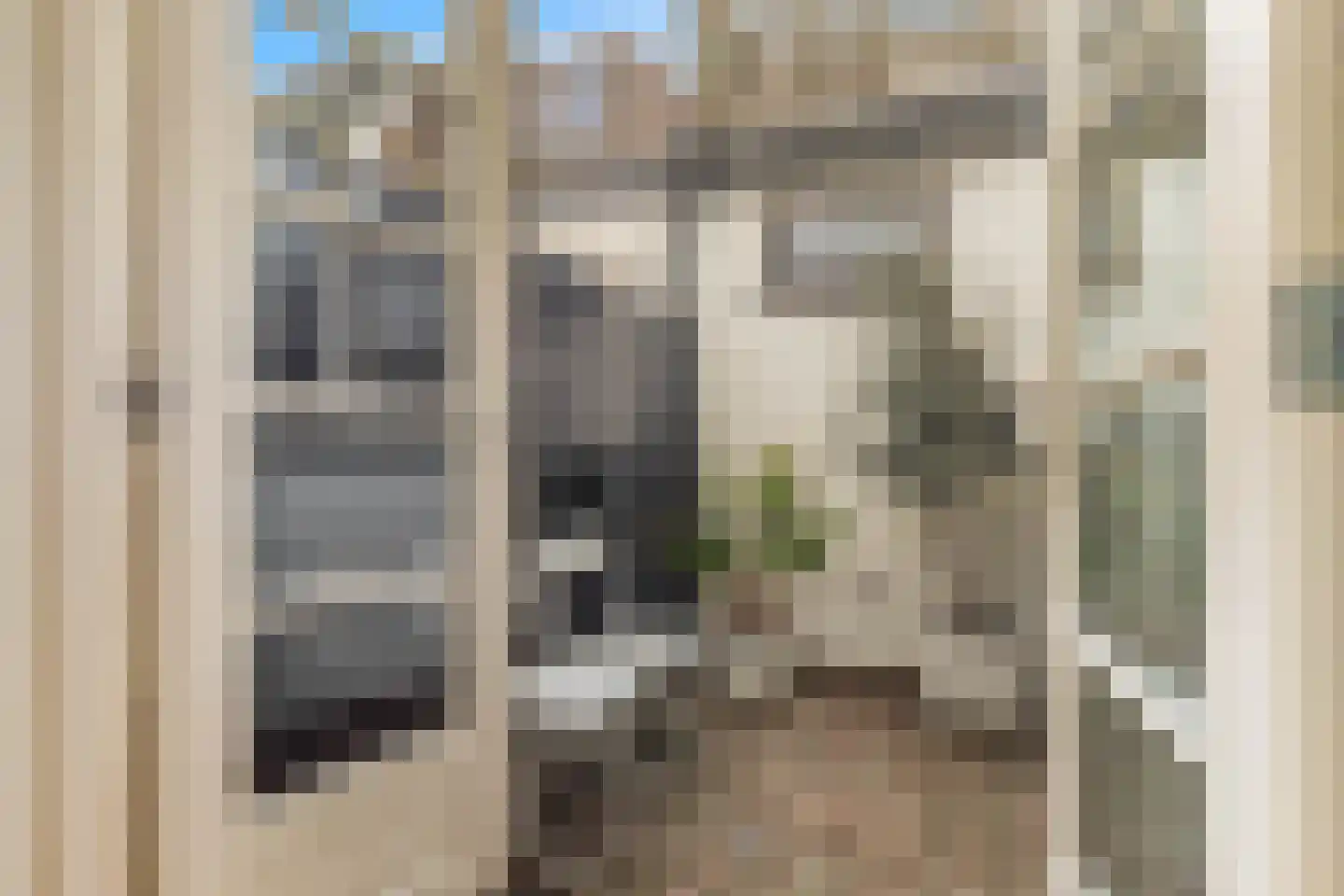 Vogelezang 9 Alkmaar thumbnail 12