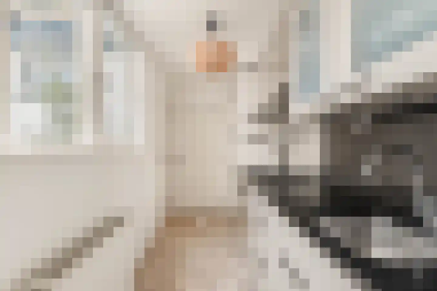 Vogelezang 9 Alkmaar thumbnail 13