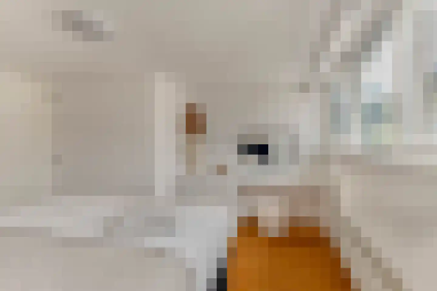 Vogelezang 9 Alkmaar thumbnail 19