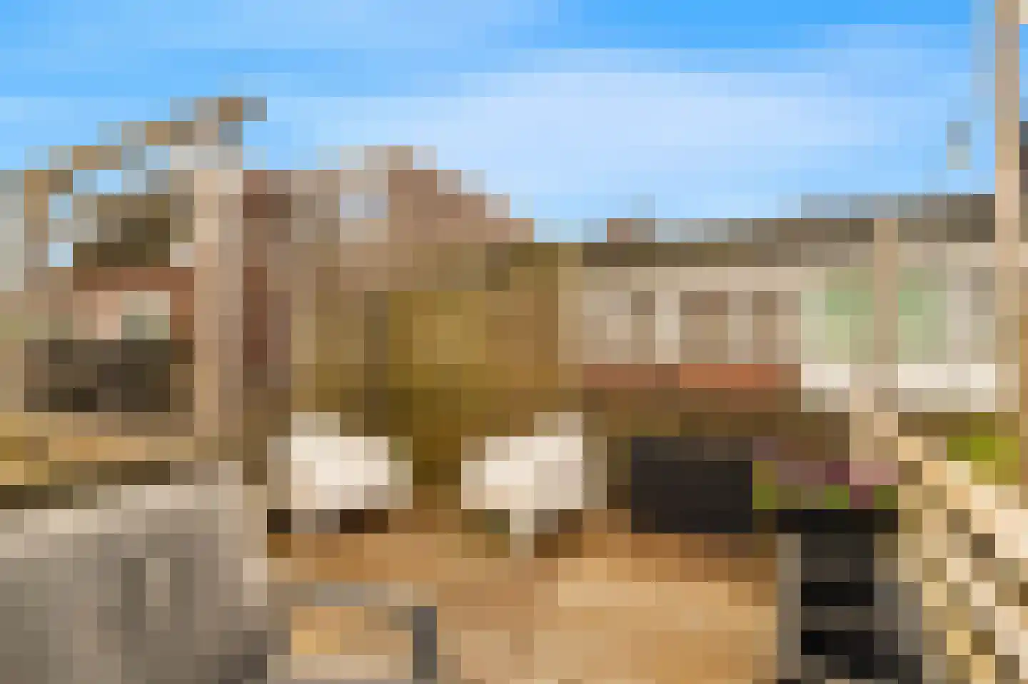 Vogelezang 9 Alkmaar thumbnail 22