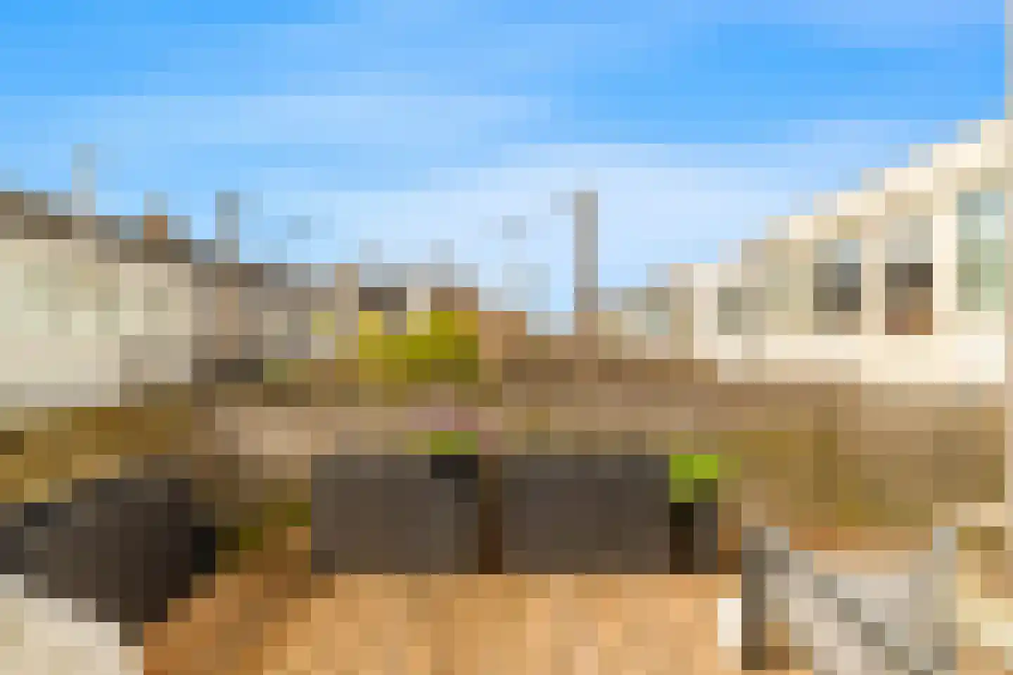 Vogelezang 9 Alkmaar thumbnail 25