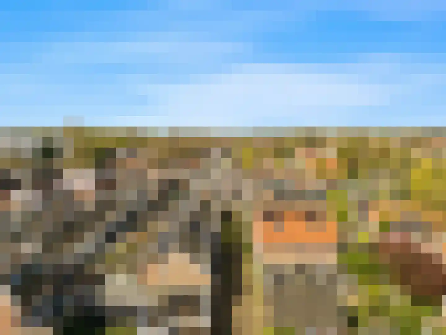 Vogelezang 9 Alkmaar thumbnail 29