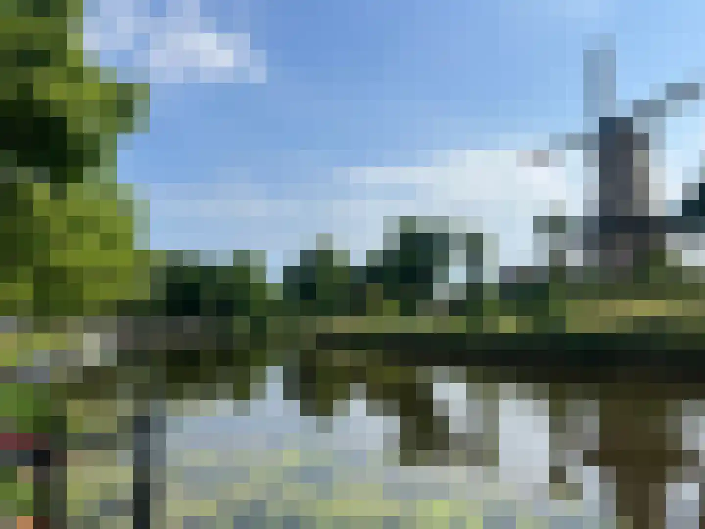 Vogelezang 9 Alkmaar thumbnail 30