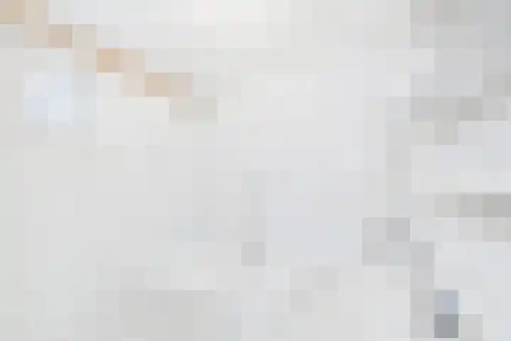 Vogelfort 3 Hengstdijk thumbnail 11