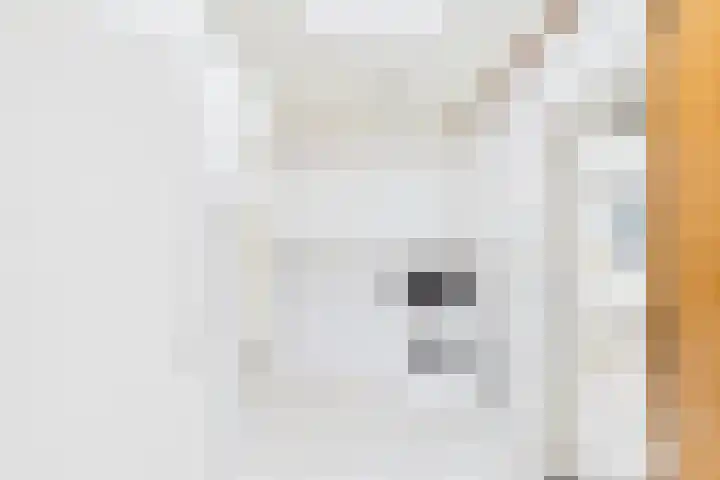 Vogelfort 3 Hengstdijk thumbnail 12