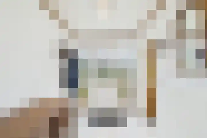 Vogelfort 3 Hengstdijk thumbnail 13