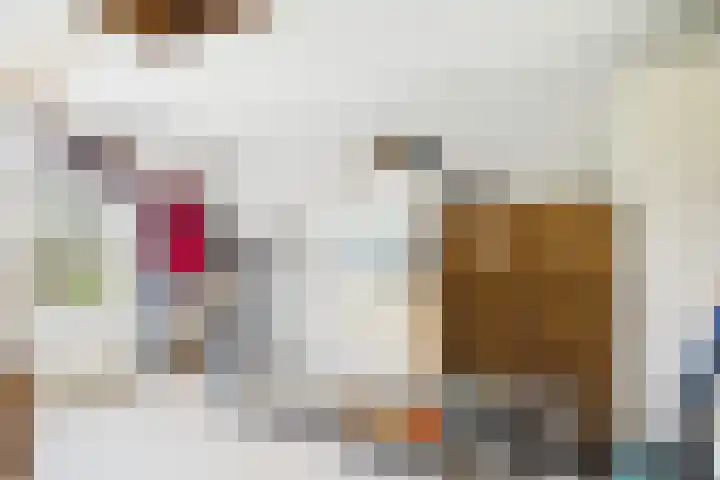 Vogelfort 3 Hengstdijk thumbnail 17