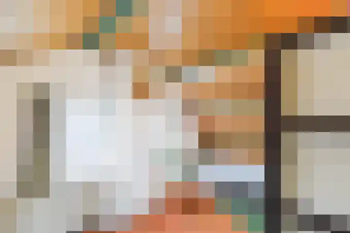Vogelfort 3 Hengstdijk thumbnail 18