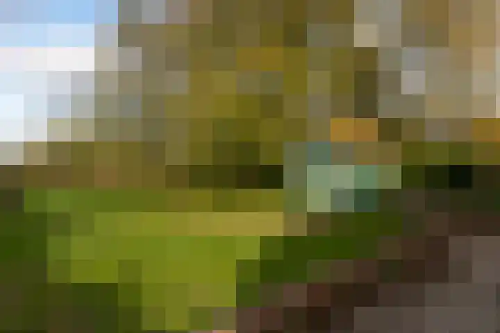 Vogelfort 3 Hengstdijk thumbnail 22