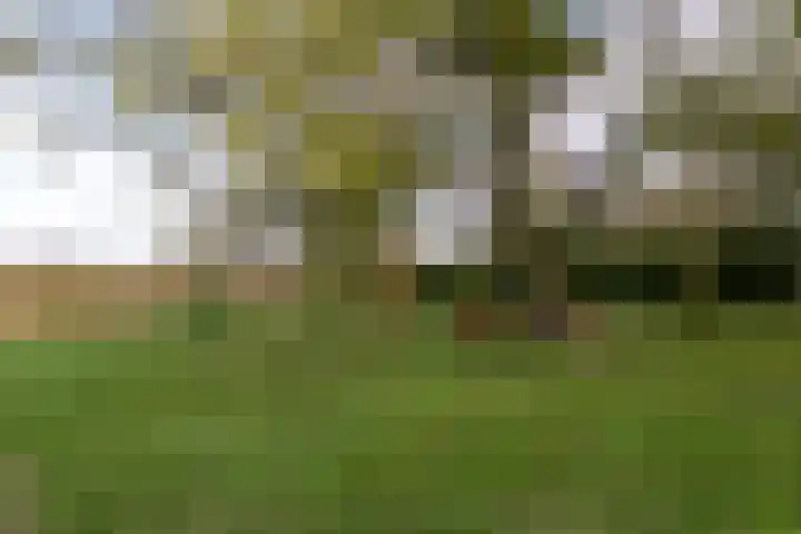 Vogelfort 3 Hengstdijk thumbnail 23
