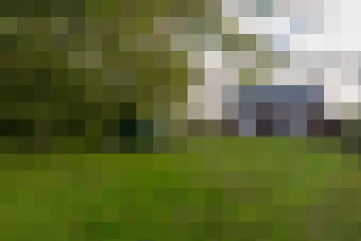 Vogelfort 3 Hengstdijk thumbnail 24